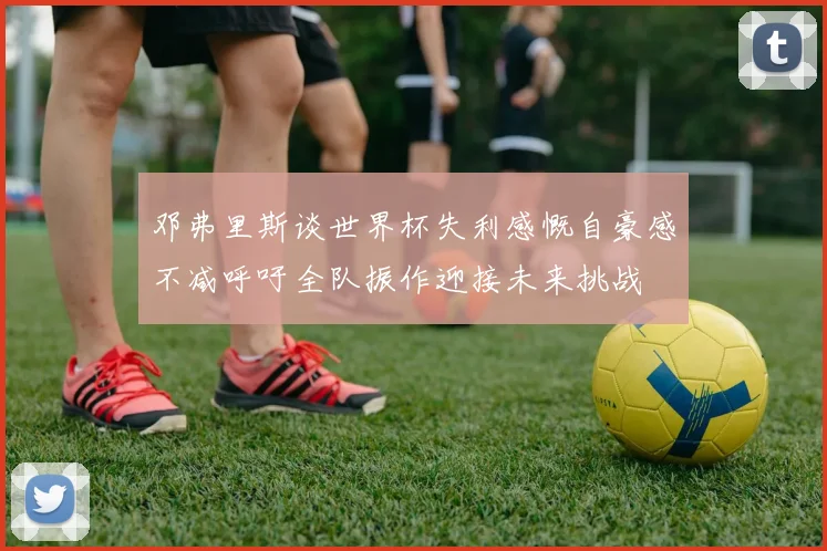 邓弗里斯谈世界杯失利感慨自豪感不减呼吁全队振作迎接未来挑战